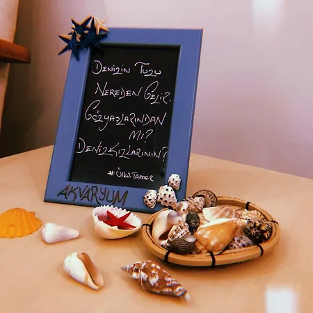 לינה וארוחת בוקר Butik Akvaryum