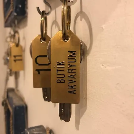 Butik Akvaryum