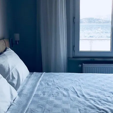 Butik Akvaryum