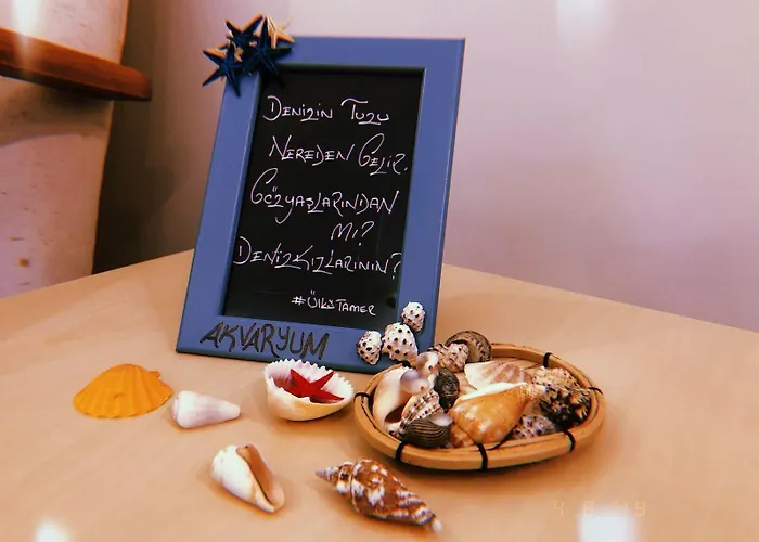 Bed & Breakfast Butik Akvaryum